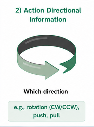 Action Directional Information